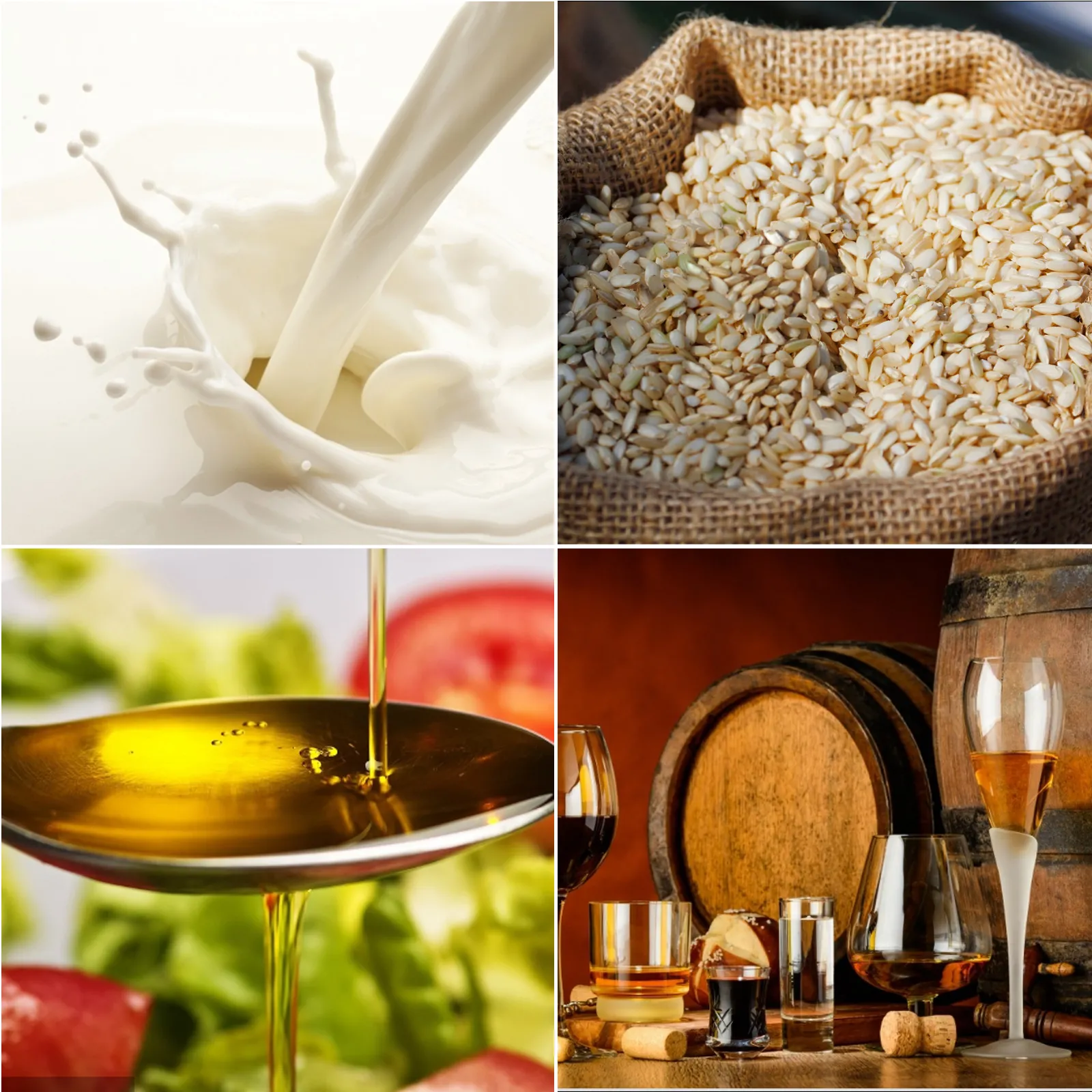 latte versato, cereali, olio che gocciola sull'insalata e bicchieri vicino ai barili. Bidone del latte in acciaio inossidabile VEVOR.