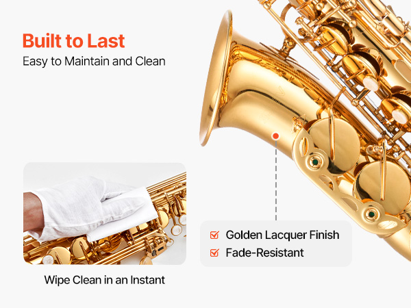Gold Brass Alto Saxophone Eb E Flat Sax Beginner Kit with