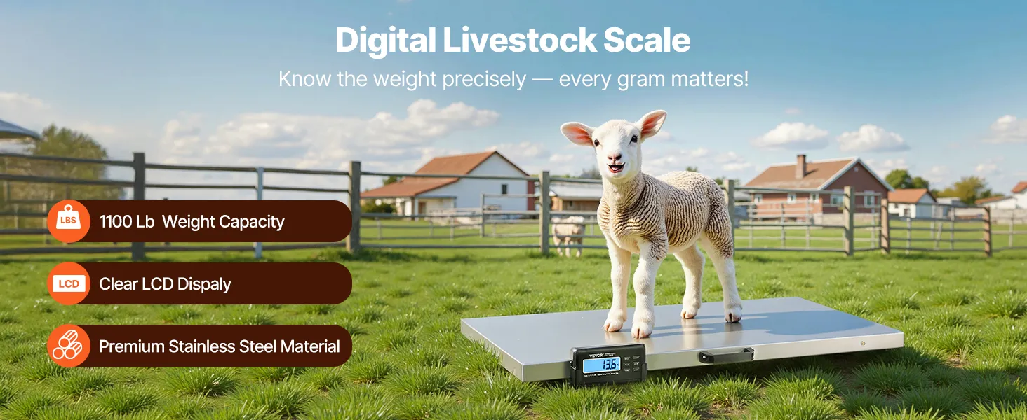 Báscula para ganado VEVOR, capacidad máxima 1100 libras, en un almacén con cajas apiladas.
