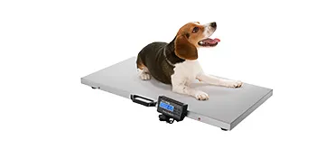 Beagle en báscula para ganado VEVOR con pantalla digital, fondo blanco.