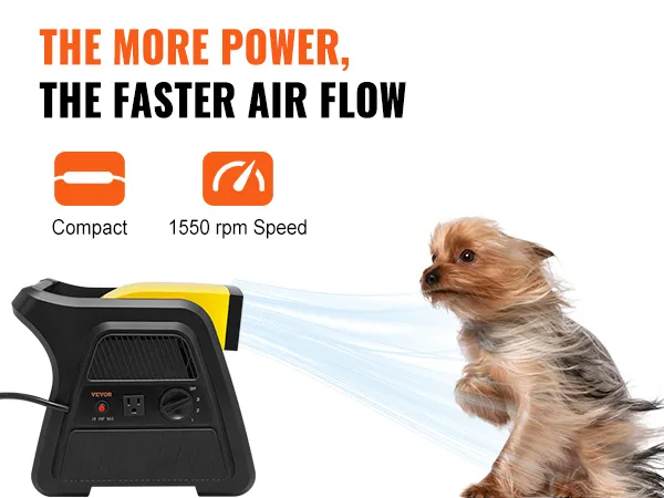 Ventilador utilitario VEVOR que sopla aire a alta velocidad, con un perro pequeño experimentando el flujo de aire.