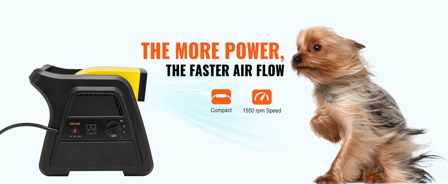Ventilador utilitario VEVOR que sopla aire a alta velocidad, con un perro pequeño experimentando el flujo de aire.
