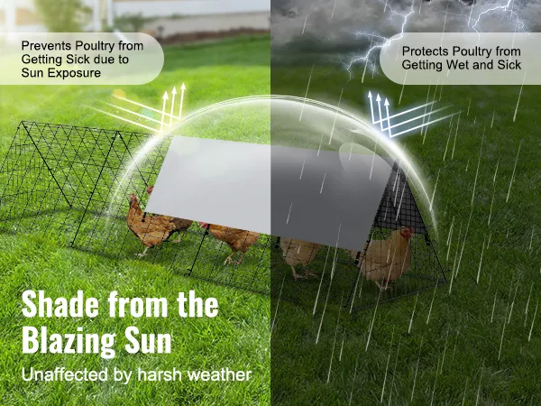 VEVOR chicken tunnels offer sun and rain protection, keeping poultry healthy in all weather conditions.