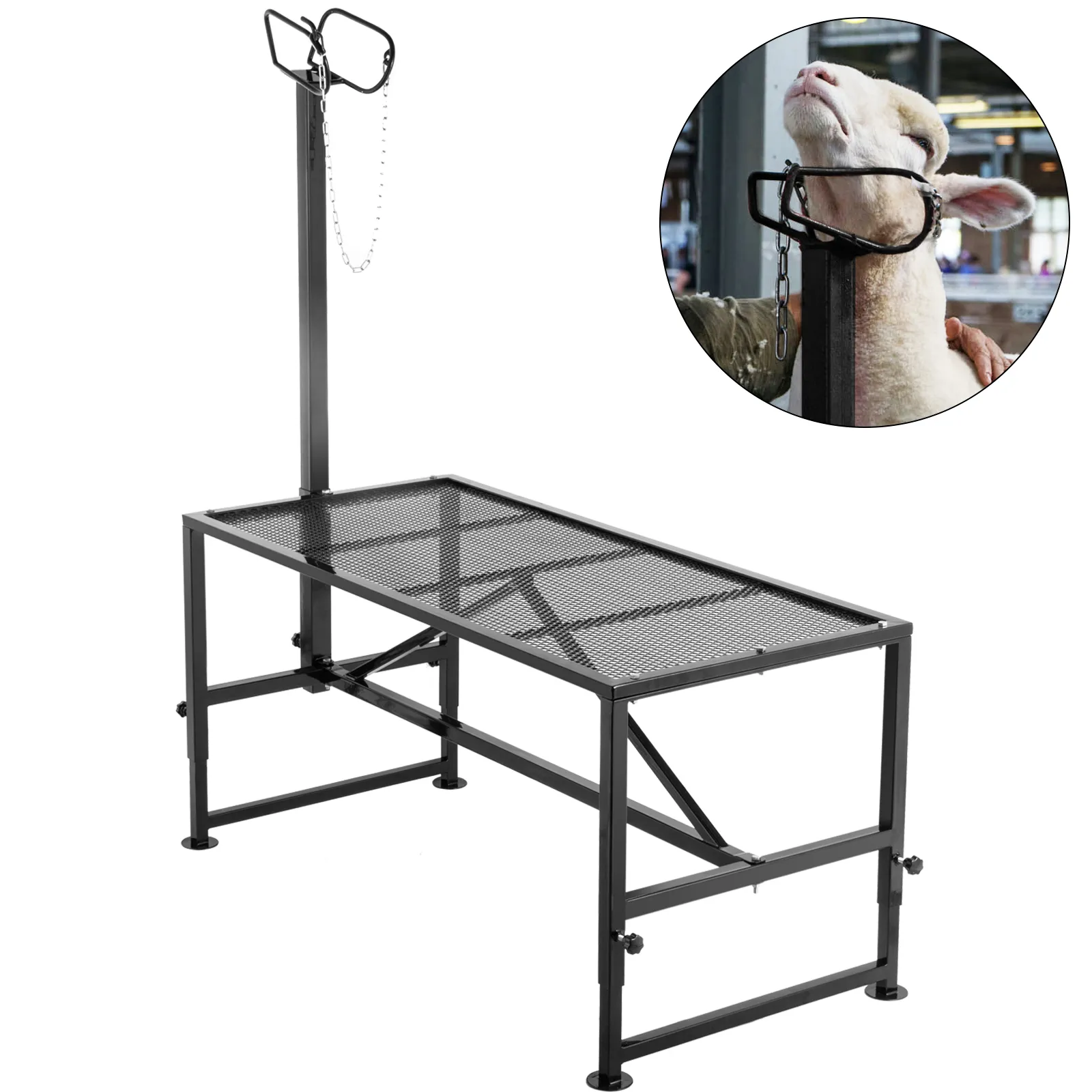 VEVOR livestock trimming stand with chain restraint and adjustable height platform