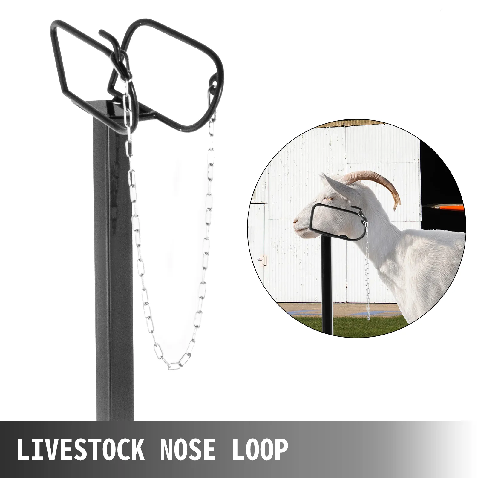 VEVOR livestock trimming stand with nose loop and chain for securing goat.