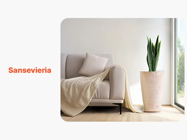 Heavy Duty U Joint Removal Tool 10105 - Universal Joint Puller For Trucks & Cars