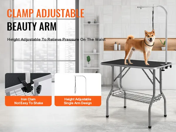 dog standing on VEVOR pet grooming table with adjustable arm, another dog resting on a green cushion nearby.