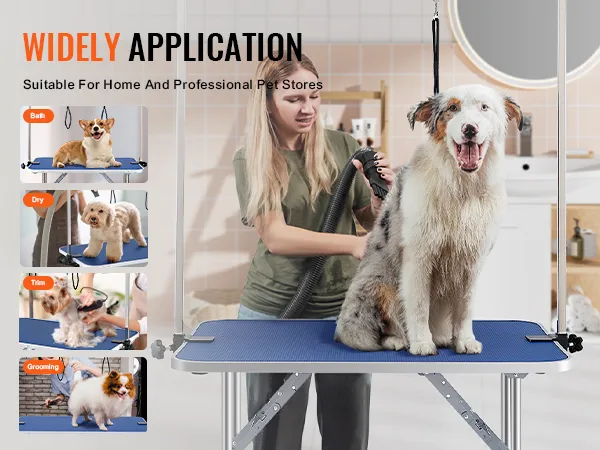 Tavolo da toelettatura per animali domestici VEVOR per il bagno, il taglio, l'asciugatura e la toelettatura. Ideale per negozi di animali domestici e professionali.