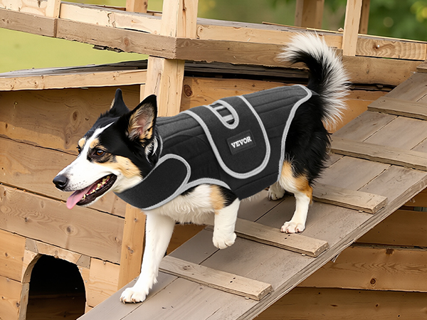 VEVOR Dog Back Brace IVDD – 6 Metal Springs, Neoprene, 0.88 lb