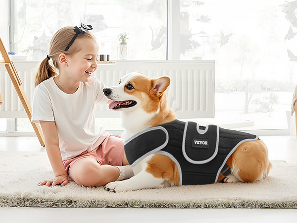 VEVOR Dog Back Brace IVDD – 6 Metal Springs, Neoprene, 0.88 lb