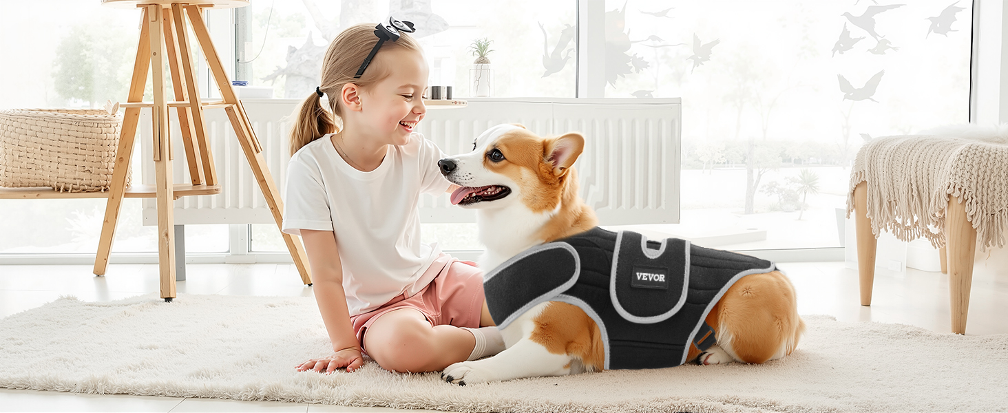 VEVOR Dog Back Brace IVDD – 6 Metal Springs, Neoprene, 0.88 lb