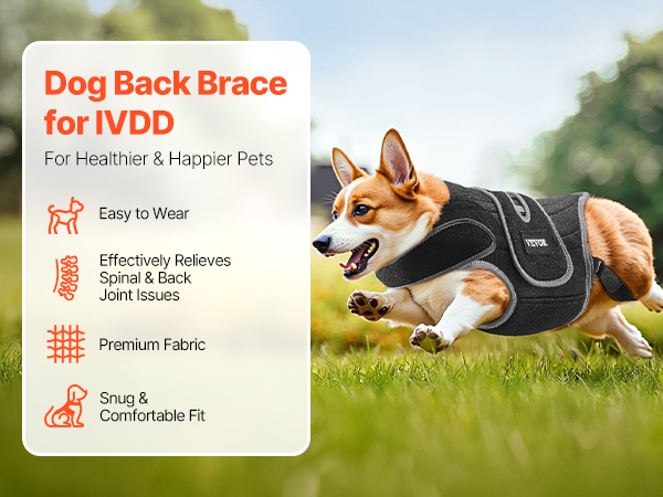 VEVOR Dog Back Brace IVDD – 6 Metal Springs, Neoprene, 0.88 lb
