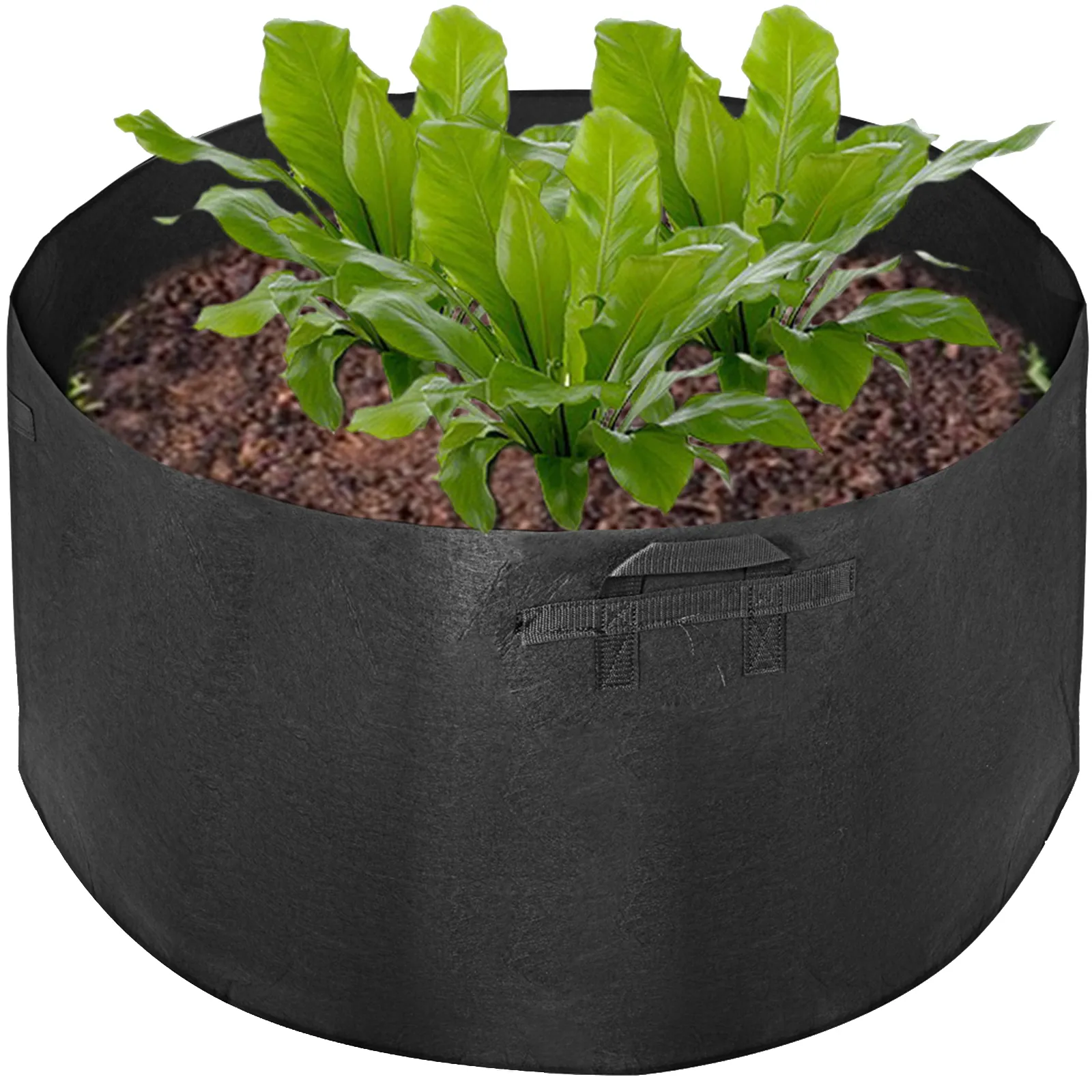 Bolsa de cultivo VEVOR negra con plantas de hojas verdes que crecen en el suelo.