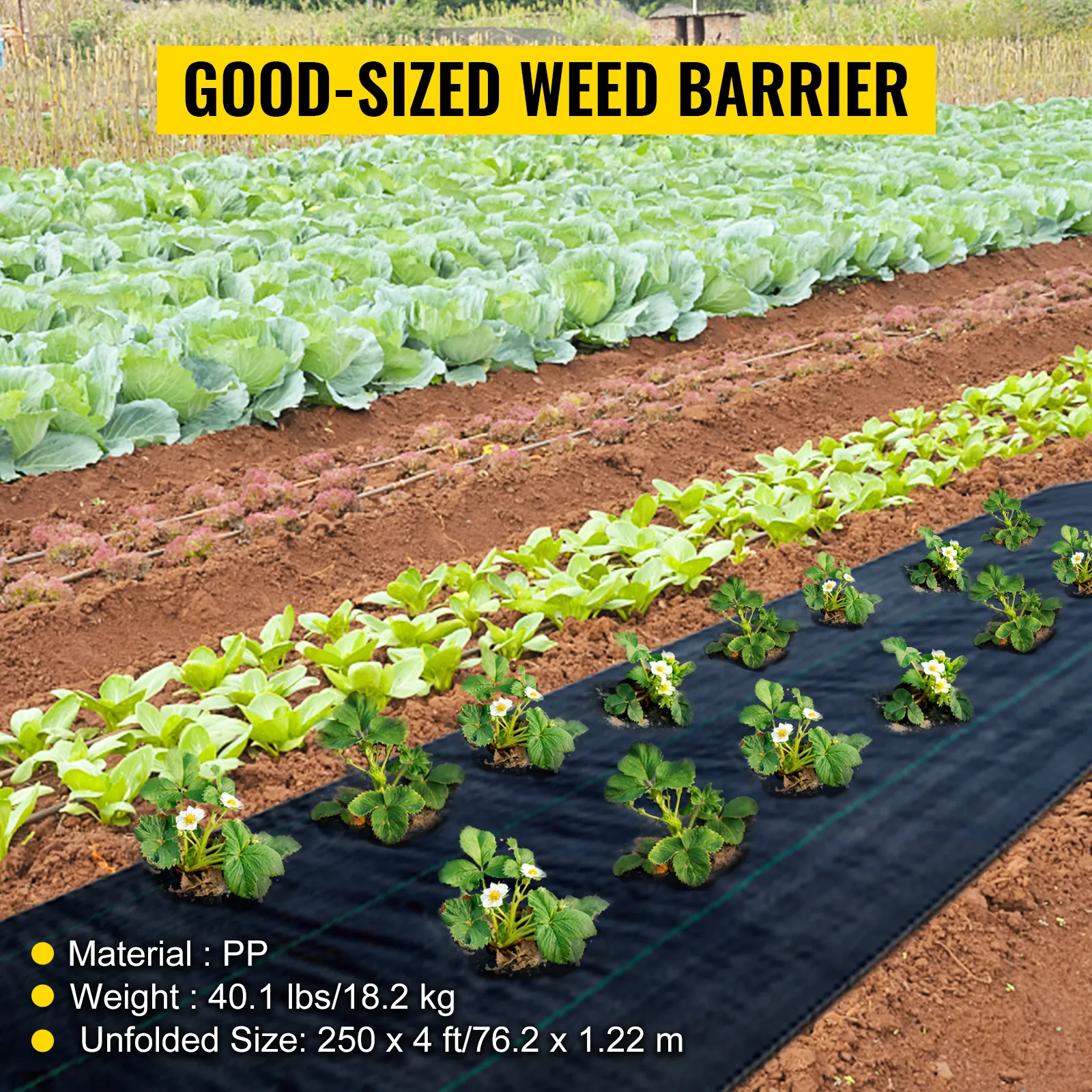 Tejido de barrera contra malezas VEVOR en un campo de hortalizas, eficaz para controlar el crecimiento.