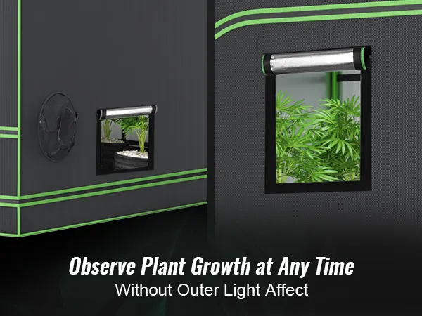 plants inside a VEVOR grow tent, visible through a side view window for easy monitoring.