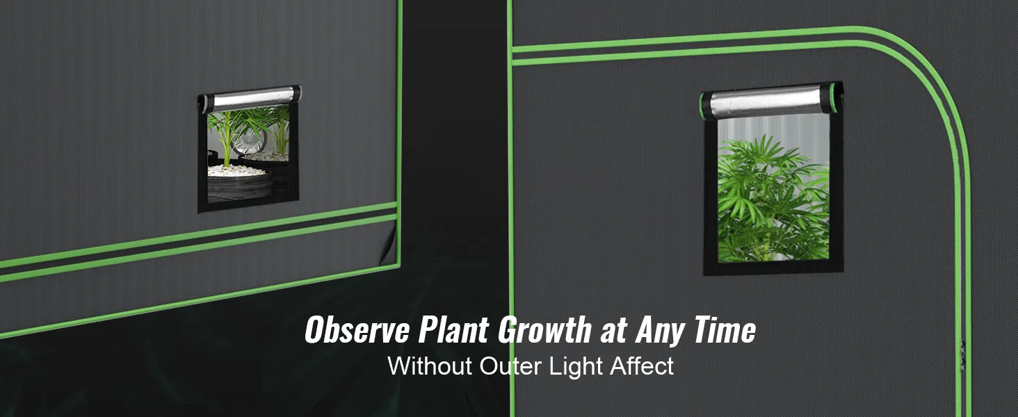 plants inside a VEVOR grow tent, visible through a side view window for easy monitoring.